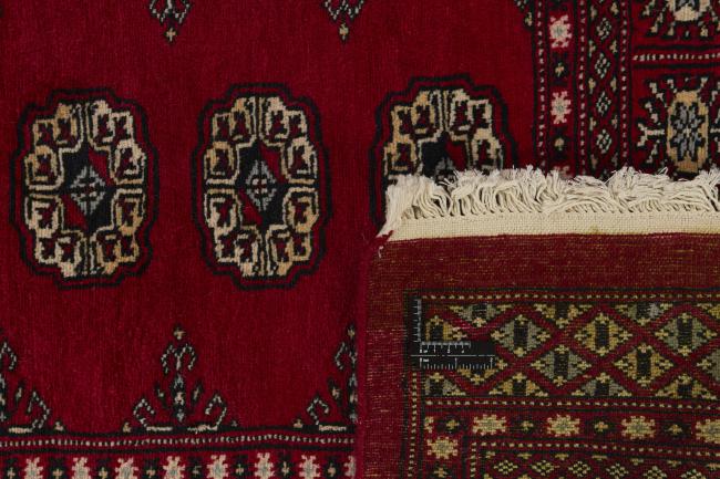 Pakistan Buchara 2ply - 1