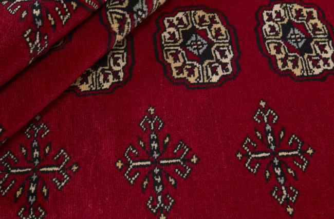 Pakistan Buchara 2ply - 2