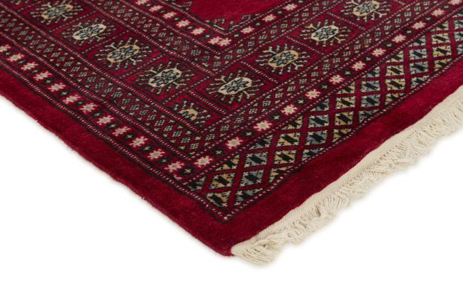 Pakistan Buchara 2ply - 3