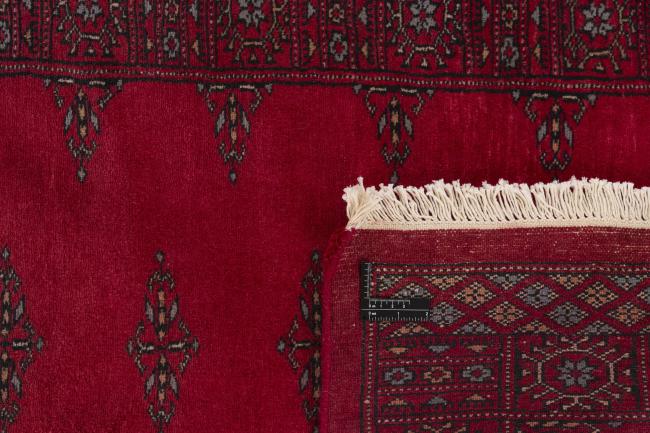 Pakistan Buchara 3ply - 1