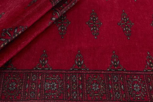 Pakistan Buchara 3ply - 2