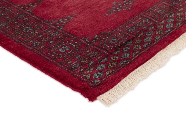 Pakistan Buchara 3ply - 3