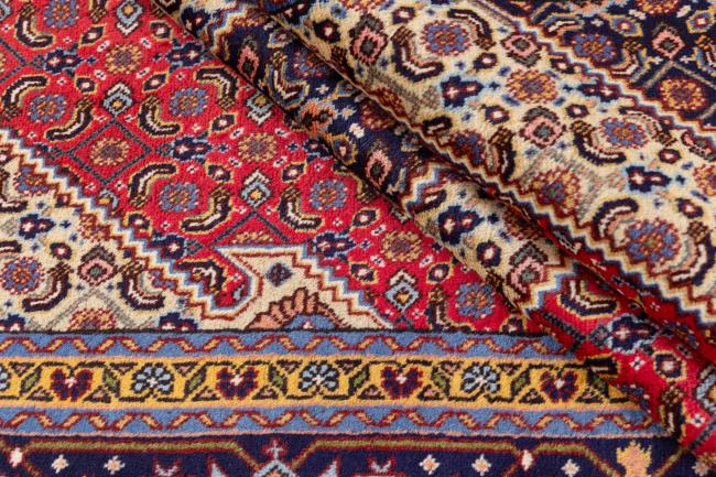 Tabriz Mahi - 8