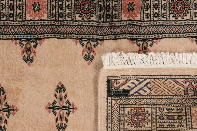 Pakistan Buchara 2ply - 1