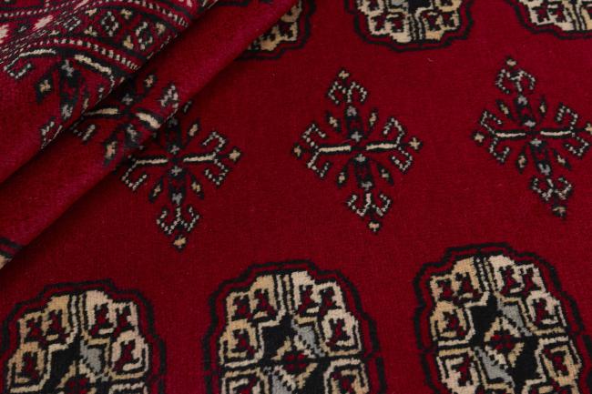 Pakistan Buchara 2ply - 2
