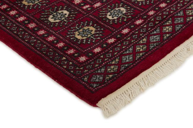 Pakistan Buchara 2ply - 3