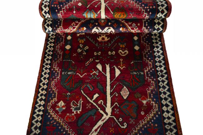 Shiraz - 8