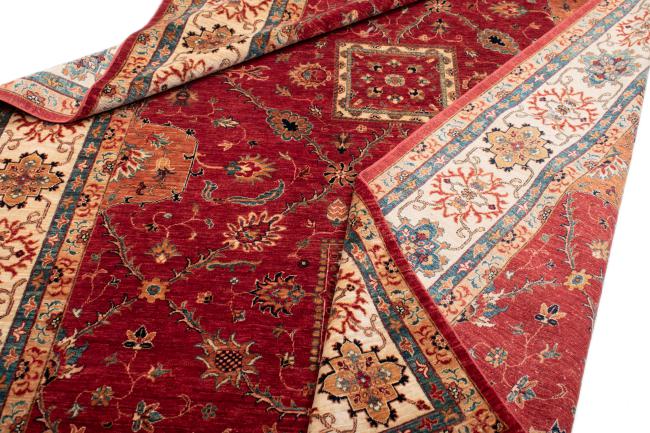 Arijana Hajjalili - 6