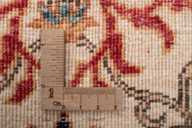 Arijana Hajjalili - 7