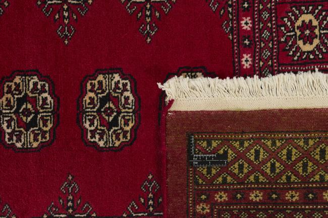 Pakistan Buchara 2ply - 1