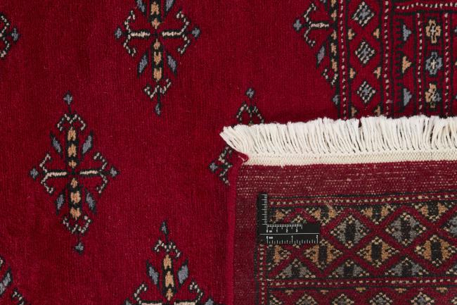 Pakistan Buchara 3ply - 1