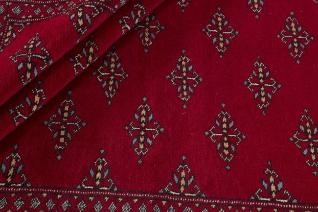 Pakistan Buchara 3ply - 2