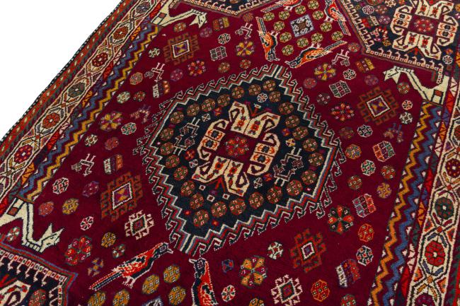 Shiraz - 4