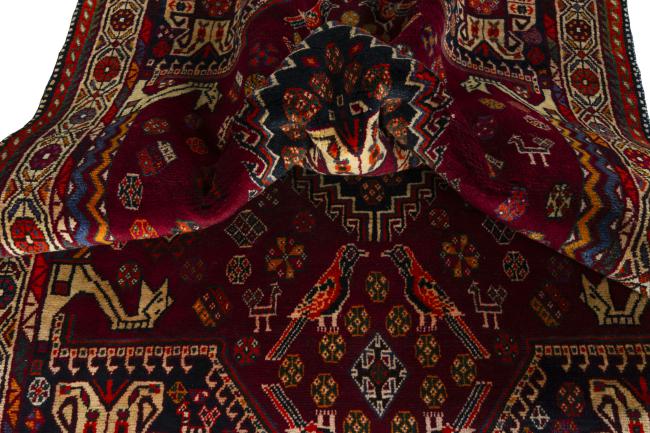 Shiraz - 9