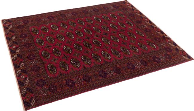 Afghan Mauri - 2