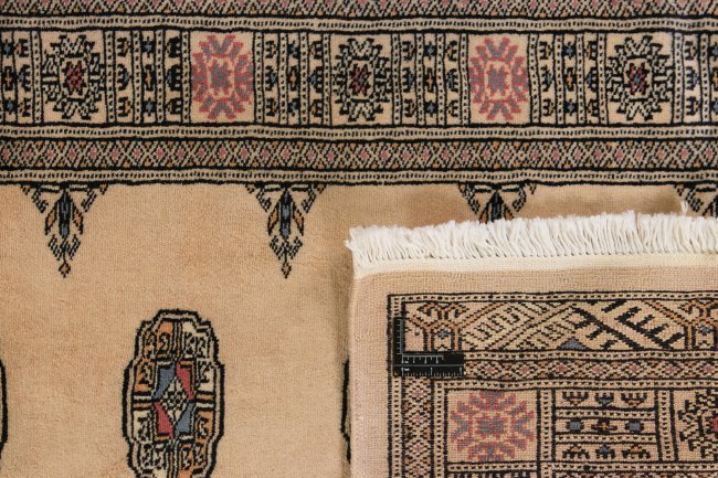 Pakistan Buchara 2ply - 1