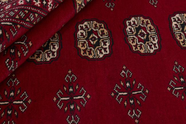 Pakistan Buchara 2ply - 2