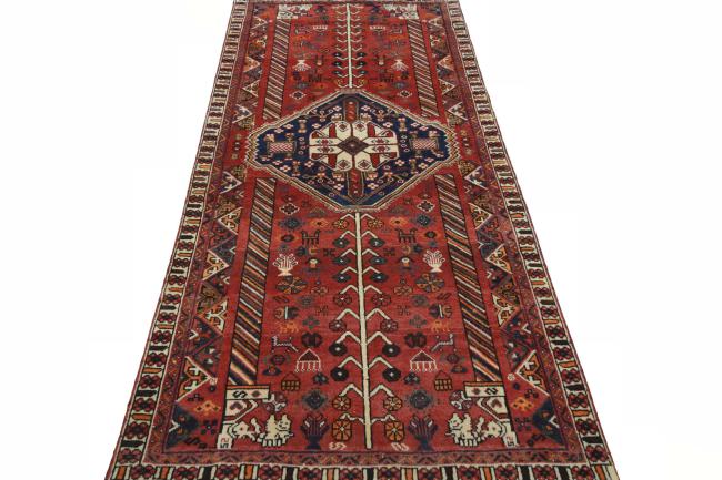 Shiraz - 5