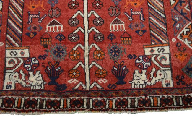 Shiraz - 8