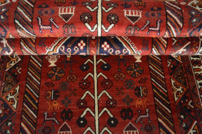 Shiraz - 10