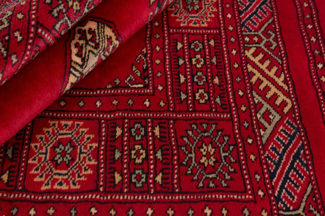 Pakistan Buchara 3Ply - 2