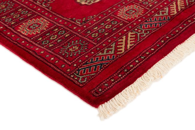 Pakistan Buchara 3Ply - 3