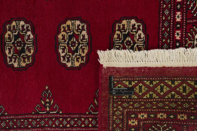 Pakistan Buchara 2ply - 1