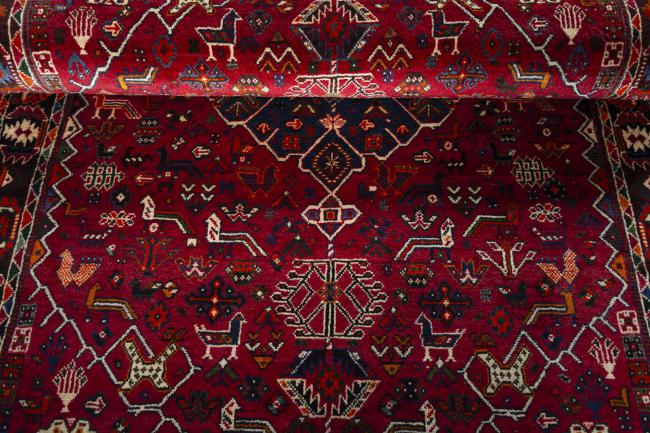Shiraz - 8