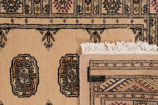 Pakistan Buchara 2ply - 1