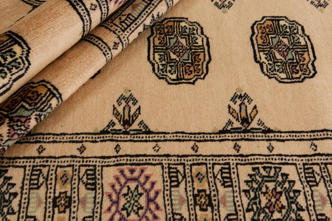 Pakistan Buchara 2ply - 2