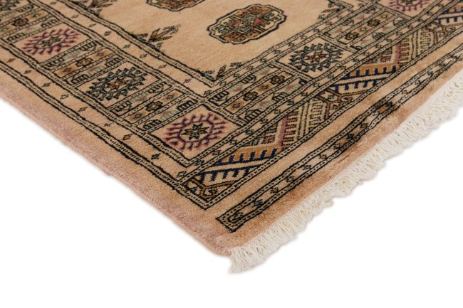 Pakistan Buchara 2ply - 3