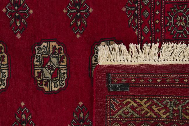 Pakistan Buchara 2ply - 1