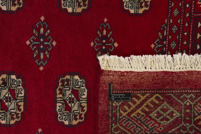 Pakistan Buchara 2ply - 1