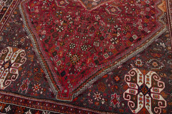 Shiraz - 6
