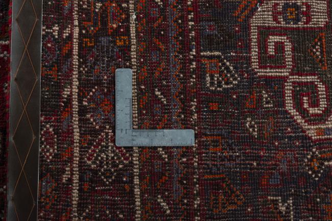 Shiraz - 11