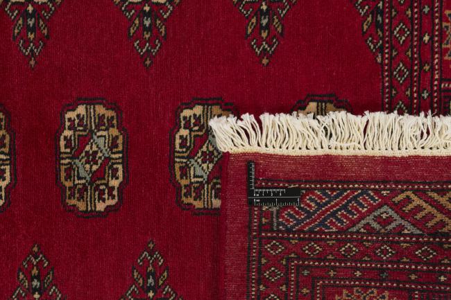 Pakistan Buchara 2ply - 1
