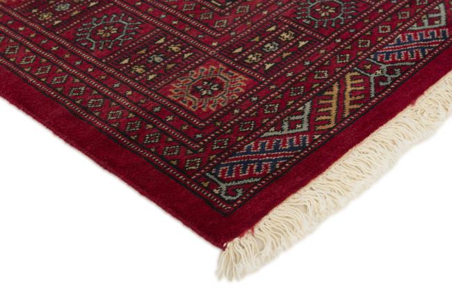 Pakistan Buchara 2ply - 3