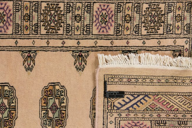 Pakistan Buchara 2ply - 1