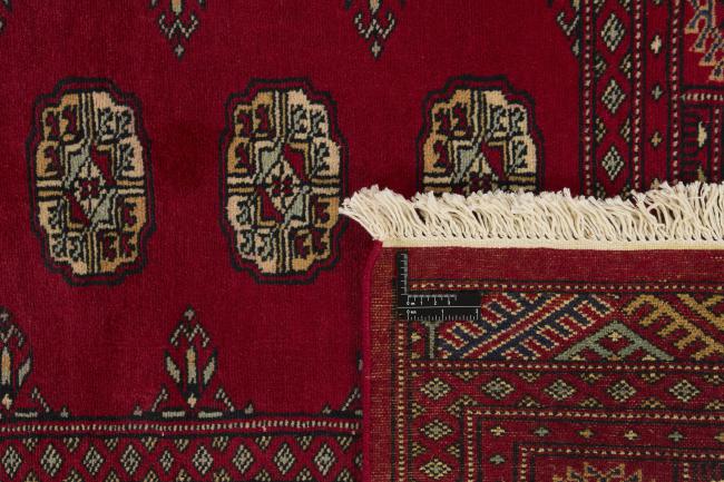 Pakistan Buchara 2ply - 1