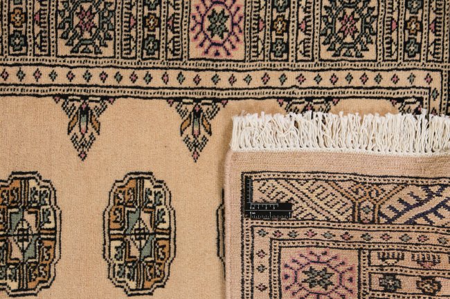 Pakistan Buchara 2ply - 1