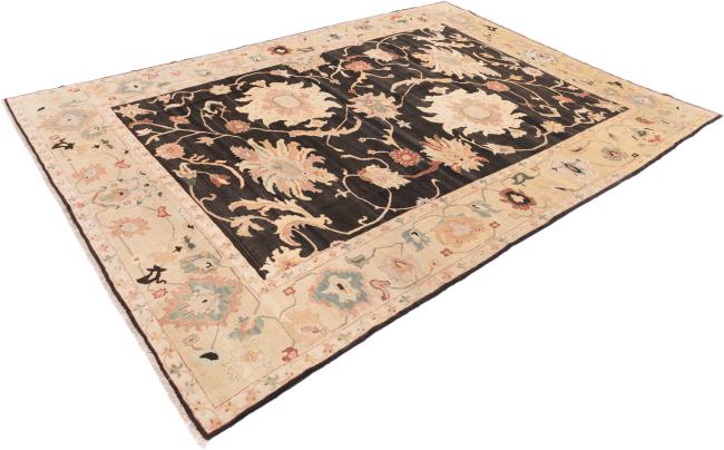 Ziegler Farahan - 2