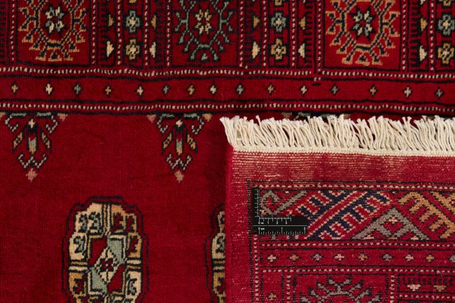 Pakistan Buchara 2ply - 1