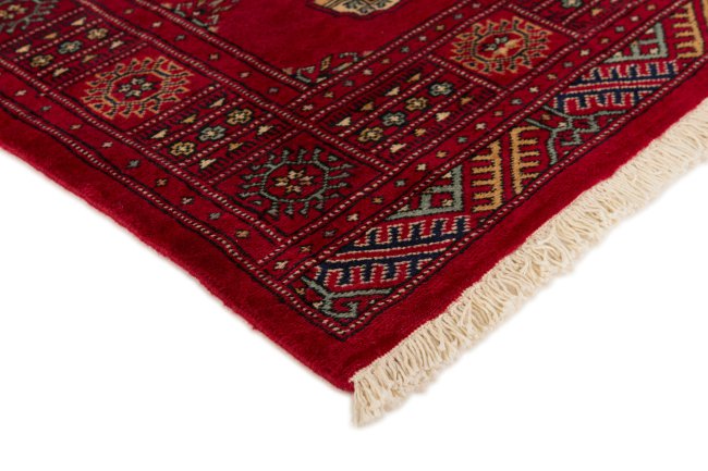 Pakistan Buchara 2ply - 3