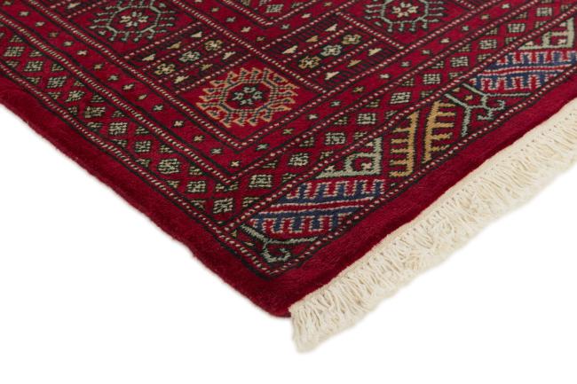 Pakistan Buchara 2ply - 3