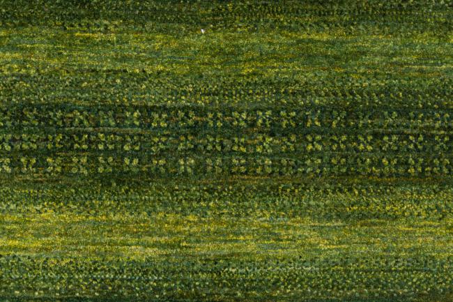 Persan Gabbeh Loribaft Essence - 7