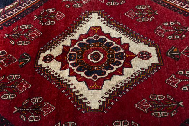 Shiraz - 5