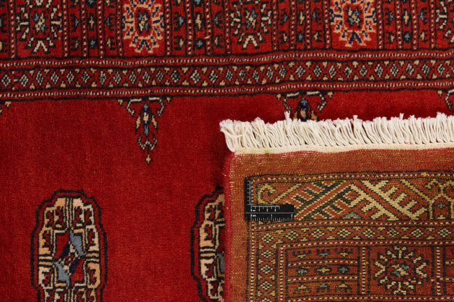 Pakistan Buchara 2ply - 1