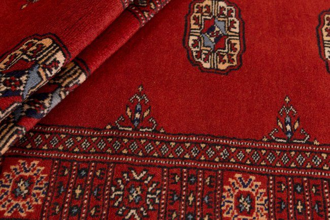 Pakistan Buchara 2ply - 2