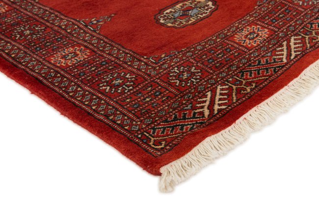 Pakistan Buchara 2ply - 3