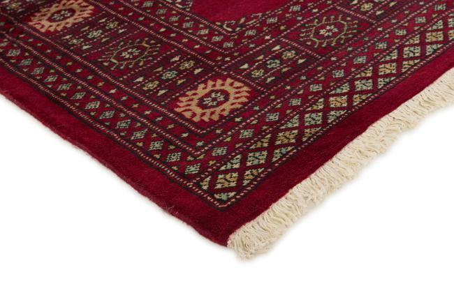 Pakistan Buchara 2ply - 3